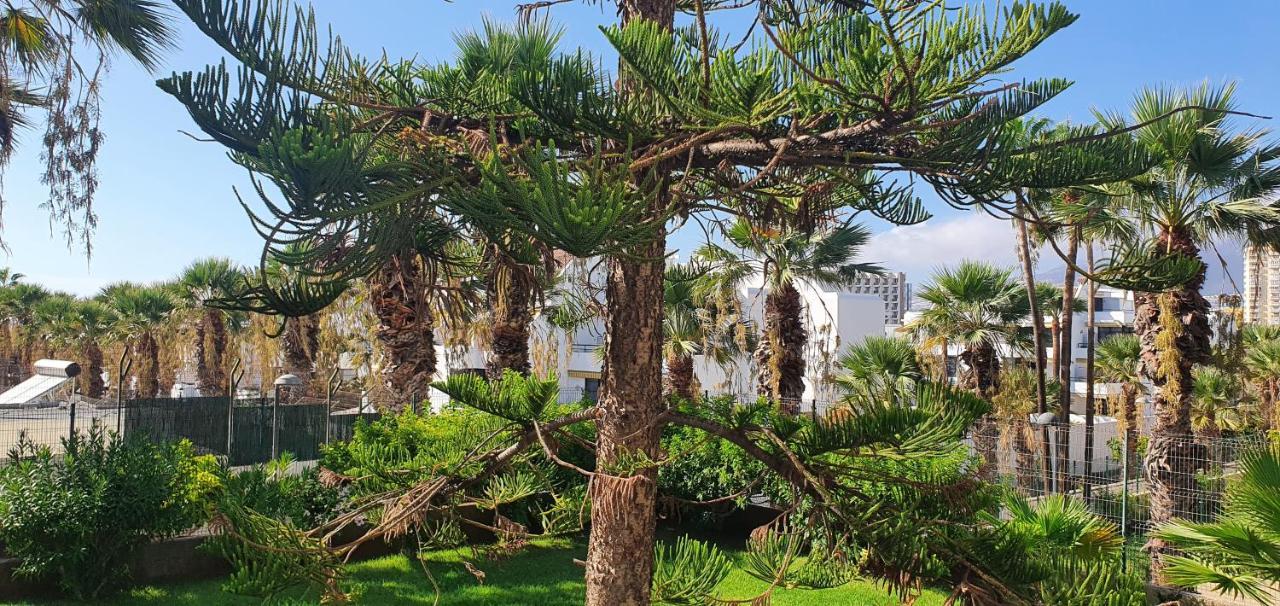 Adults Only Sunny Quiet Apartment In Center Of Las Americas Arona  Dış mekan fotoğraf