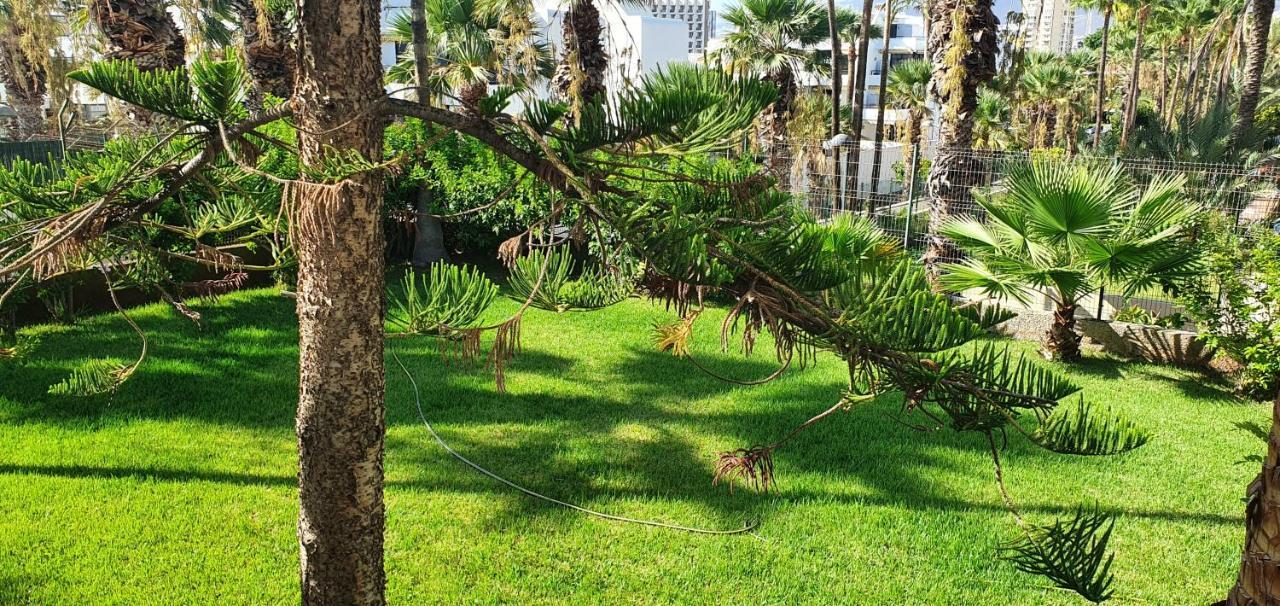 Adults Only Sunny Quiet Apartment In Center Of Las Americas Arona  Dış mekan fotoğraf