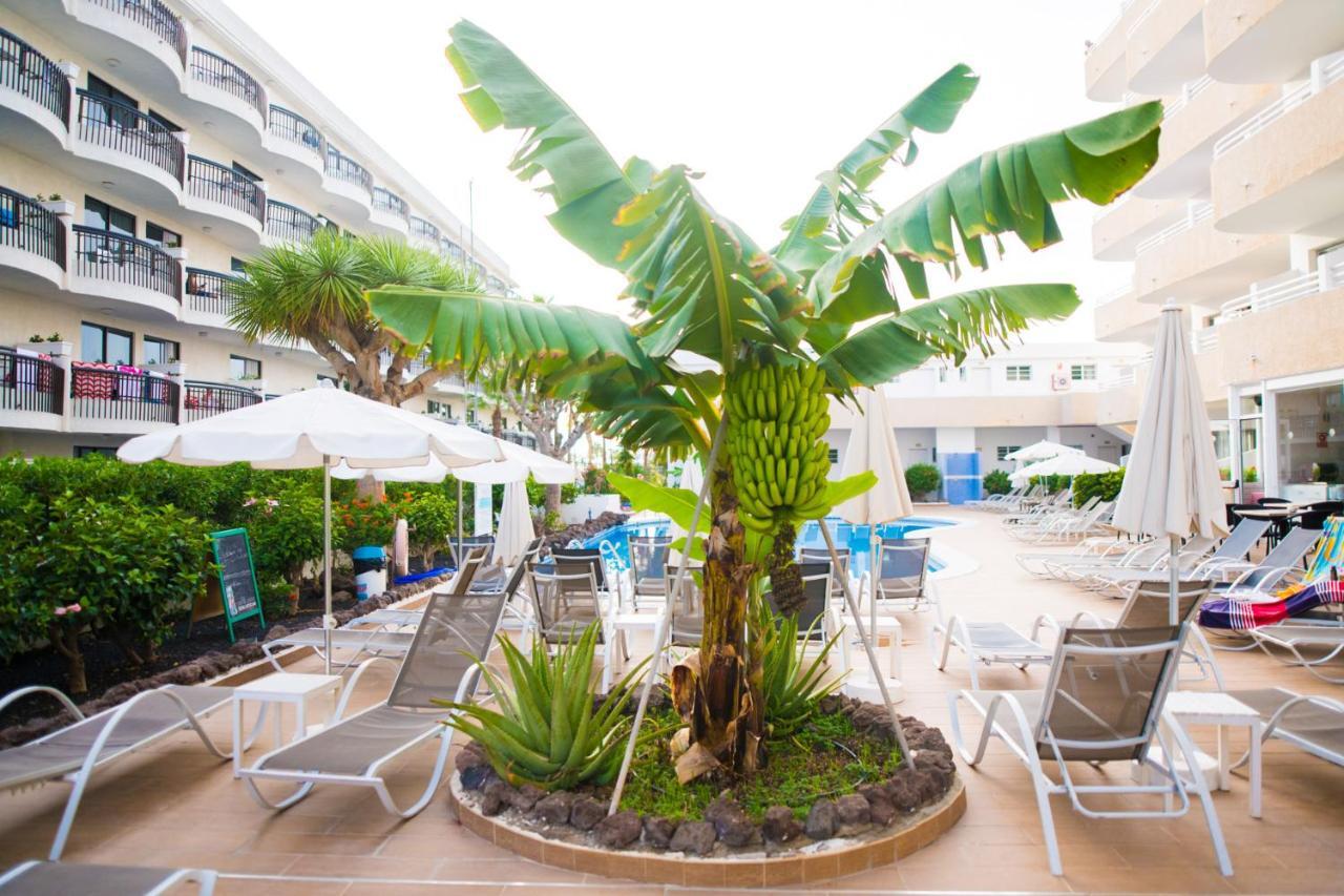 Adults Only Sunny Quiet Apartment In Center Of Las Americas Arona  Dış mekan fotoğraf